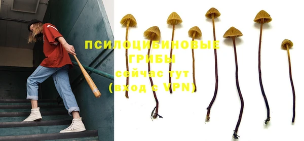 гидропоника Нефтекумск