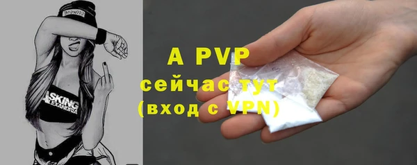 PSILOCYBIN Нея