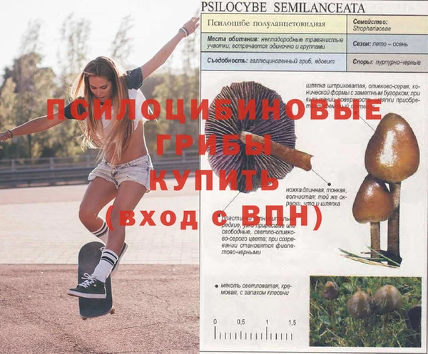 MDMA Premium VHQ Артём