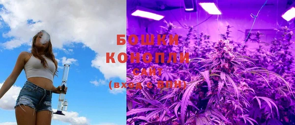 PSILOCYBIN Нея