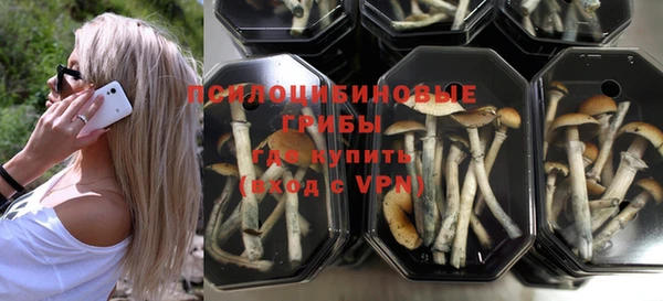 PSILOCYBIN Нея