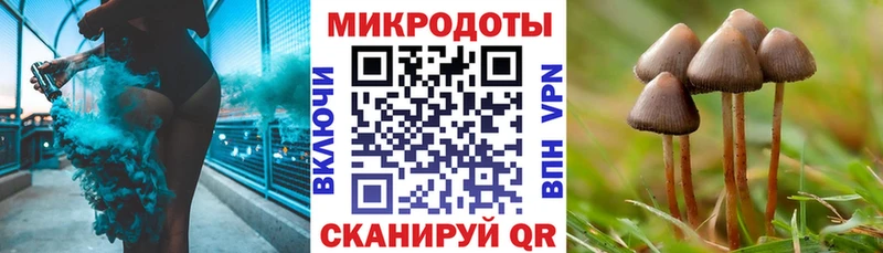 Галлюциногенные грибы GOLDEN TEACHER  Петушки 
